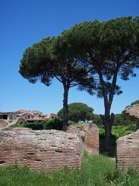 Free Italy Italia photo and picture