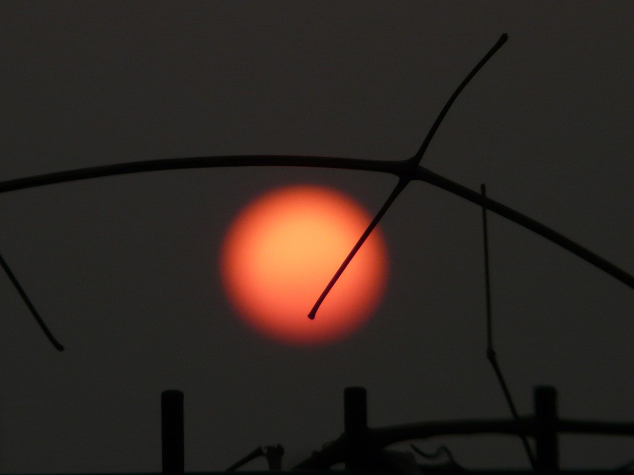 Sunfall Red Sun Red Downfall - Free photo on Pixabay - Pixabay