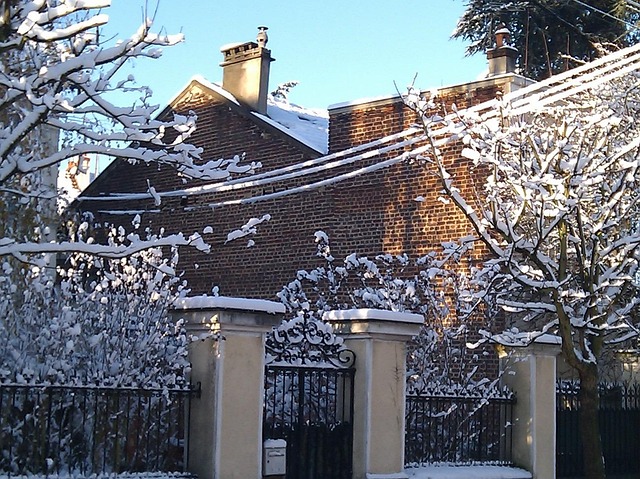 Free Wall Winter photo and picture