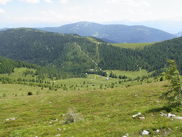 Free Mountains Meadow photo and picture