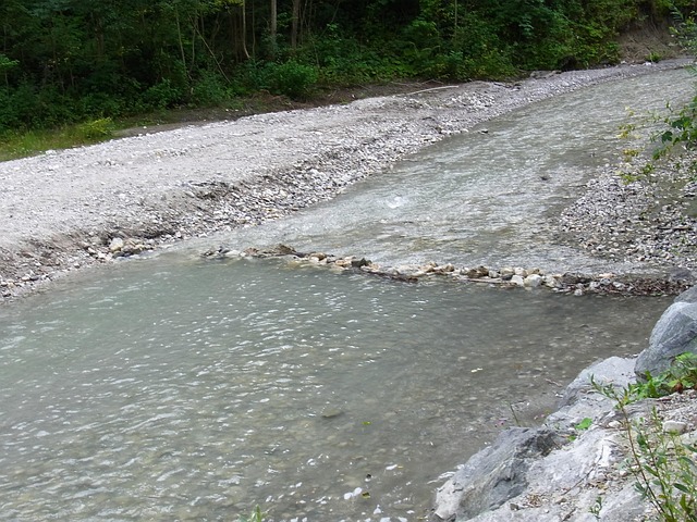 Free Water Bach photo and picture
