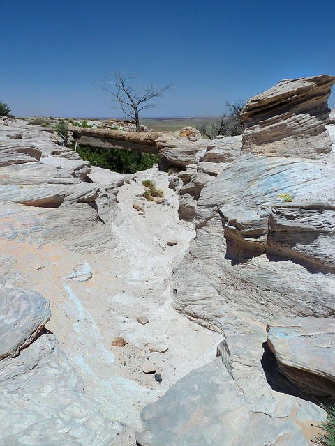 petrified forest national park, petrified wood, hot, dry, bridge, nature, rocks, desert, arizona, usa, tourist attraction, landscape, scenery
