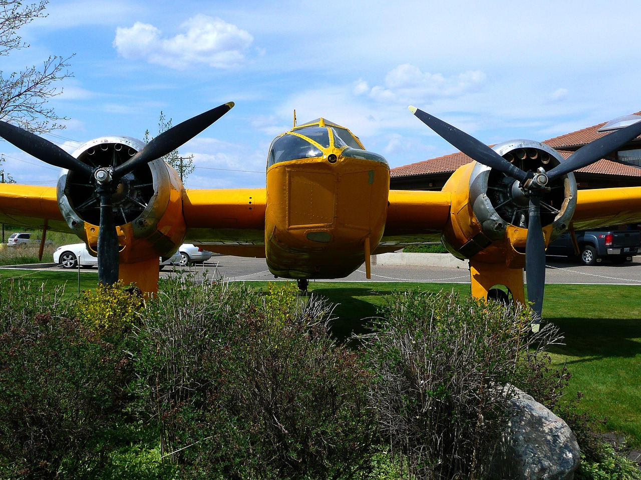 Yellow - free online jigsaw puzzle photo