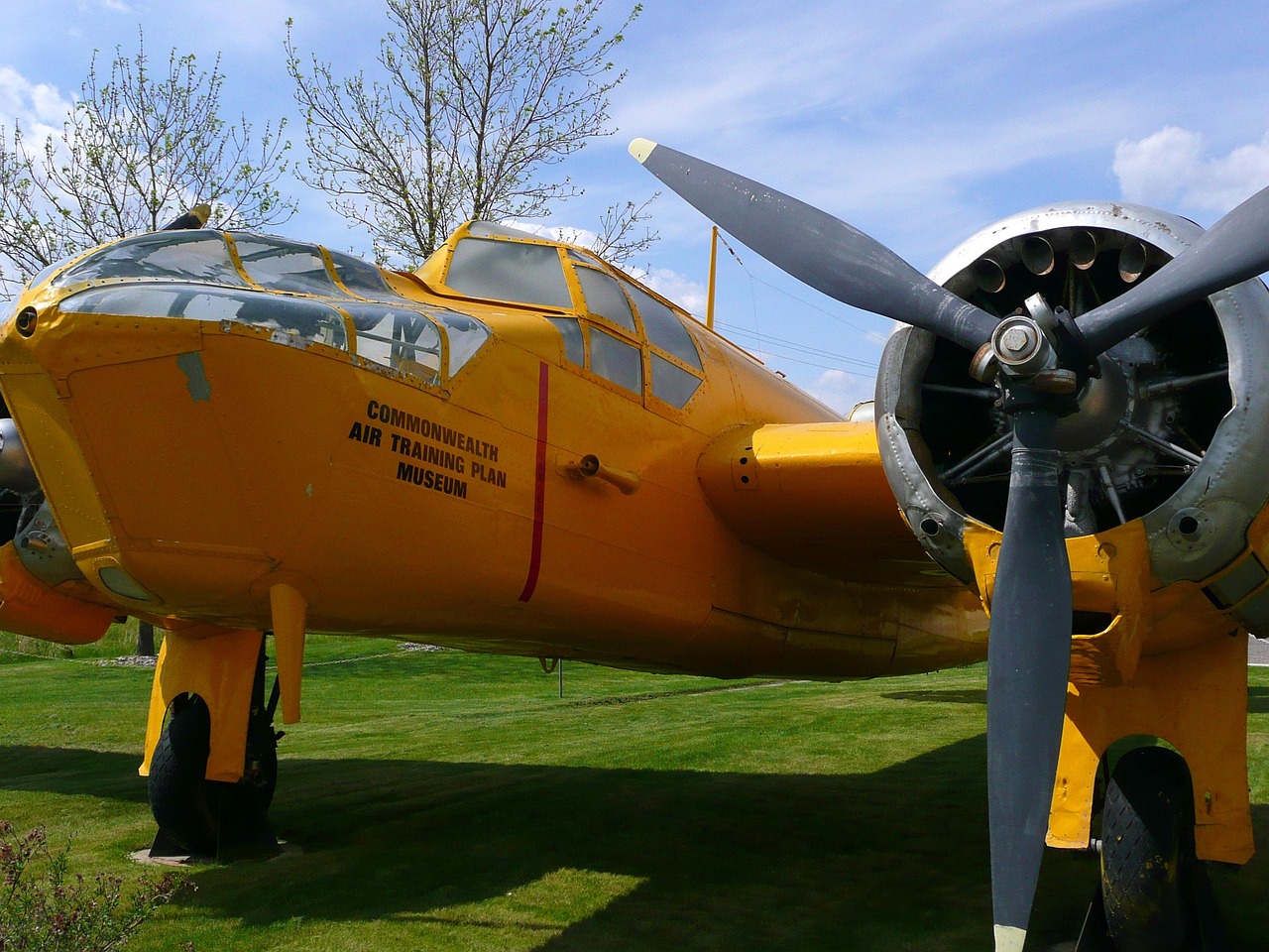 Yellow - free online jigsaw puzzle photo