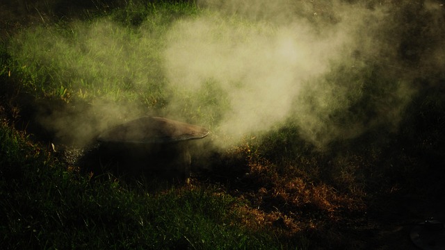 Free Smoke Fog photo and picture