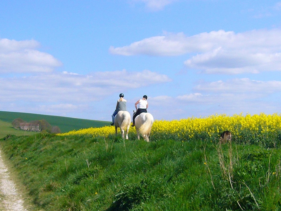 Horse Riding Horses Countryside - Free photo on Pixabay - Pixabay