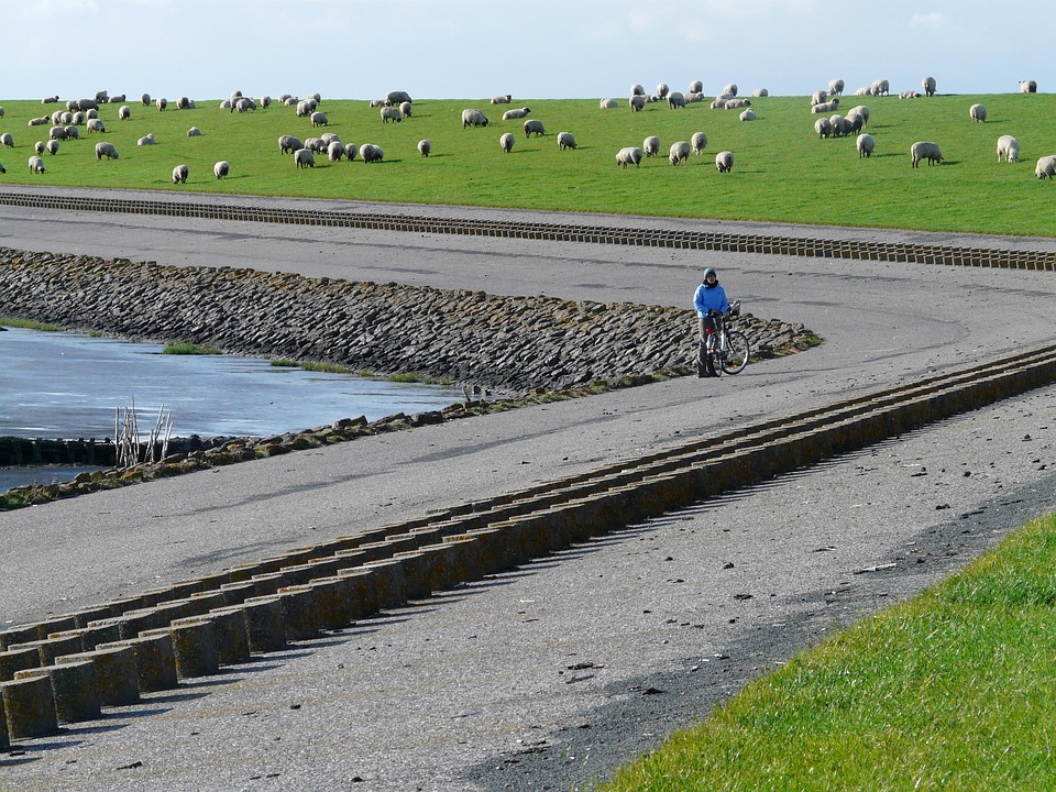 Dike Road North Sea Free photo on Pixabay Pixabay