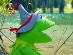 kermit, frog, doll