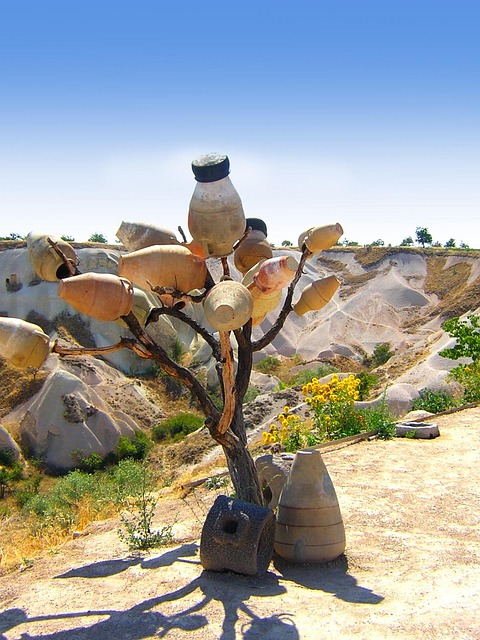 Free Pot Tree photo and picture