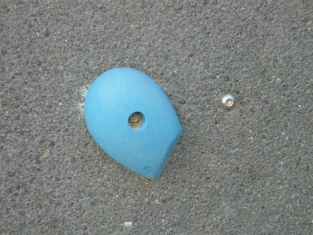 Free Climbing Hold Blue photo and picture
