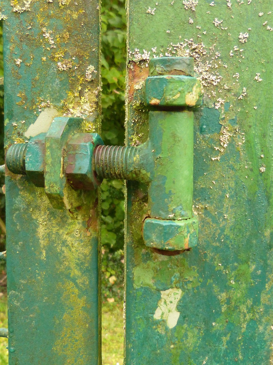 Green Rusted Screw Screw Green Moss - Free photo on Pixabay
