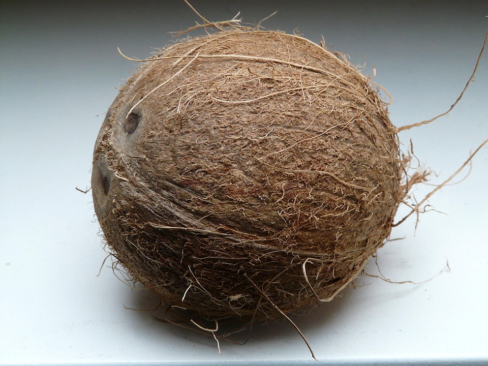 Free photo: Coconut, Coconuts, Exotic, Sweet - Free Image on Pixabay ...