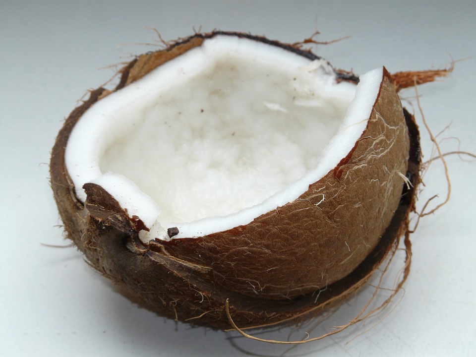 Coco Cocos Exóticos