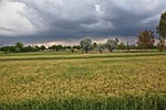 storm, wind, windstorm