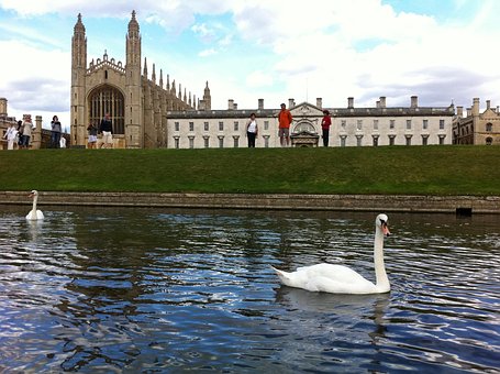 King'S College Cambridge Uk Swan Building