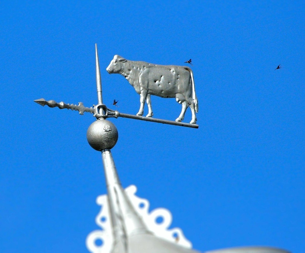Download free HD stock image of Weathervane Wasp Free Weathervane Wasp photo and picture