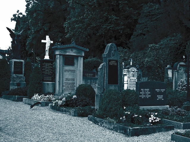 Free Graveyard Dig photo and picture