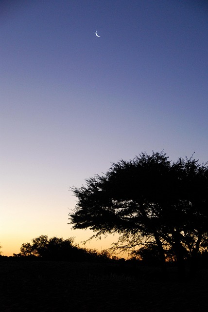 Pôr Do Sol, Natureza, Kalahari, Lua
