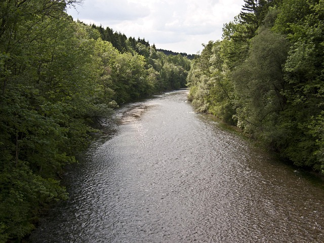 Free Flow Nature photo and picture