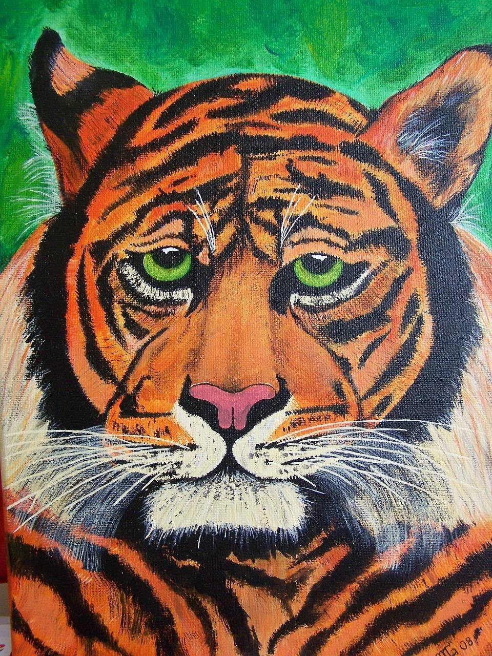 Download free HD stock image of Tiger Wild Free Tiger Wild photo and picture