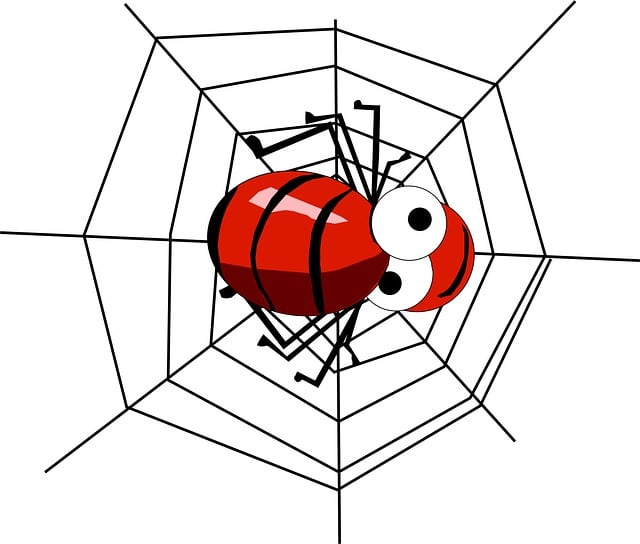 Download free HD stock image of Spider Spider'S Web Free spider spider's web networks illustration