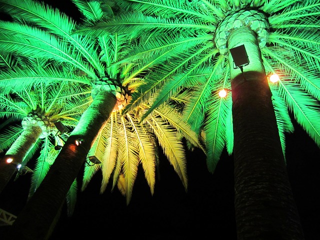 Free Green Light Electric Lighting photo and picture