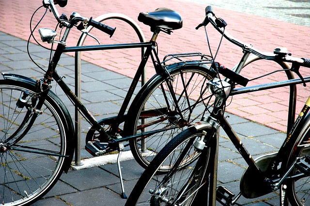 Free Cycling Bicycle photo and picture