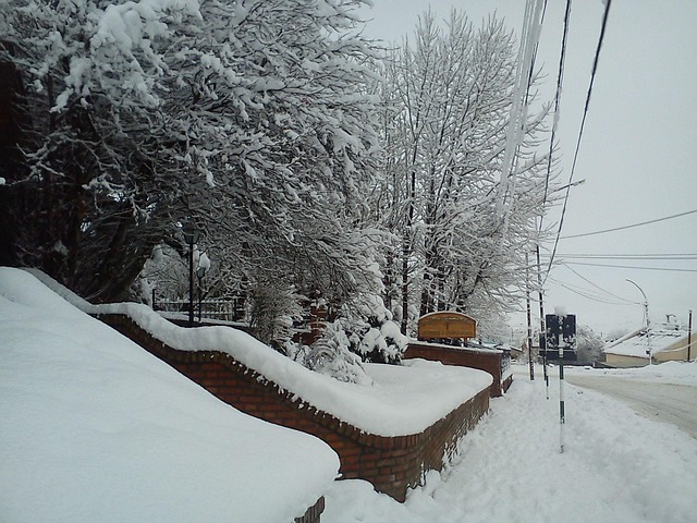 Free Winter Snow photo and picture