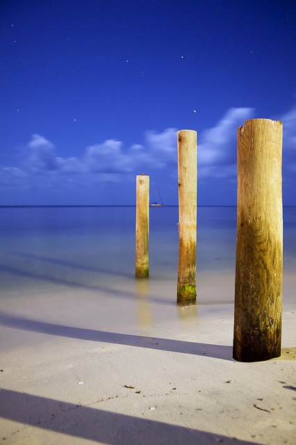 Free Landscape Nature illustration and picture