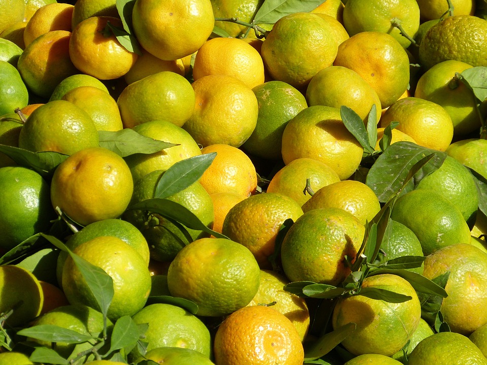 5000+ Gambar Buah Jeruk Hd HD Gratis 5000+ Gambar Buah Jeruk Hd HD Gratis