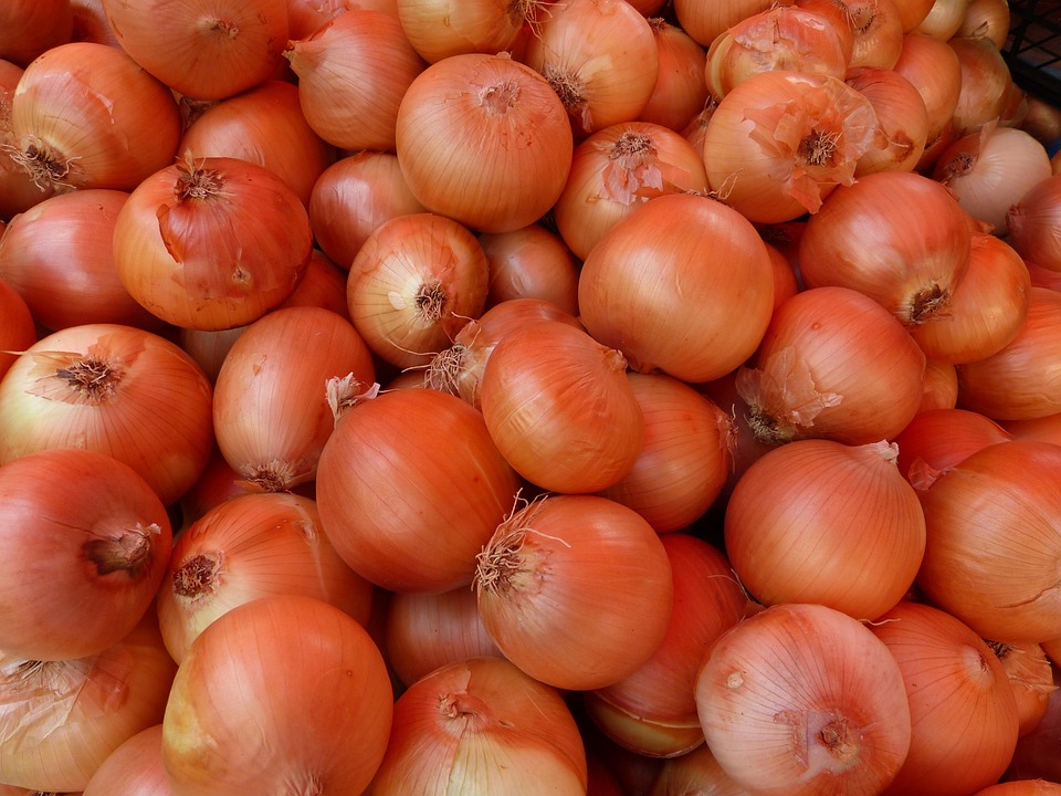 Free photo Onion, Vegetables, Shell, Brown Free Image on Pixabay 65296