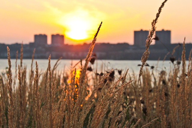 Free Sunset Sky photo and picture