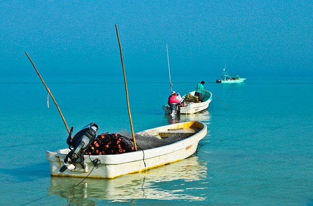 Free Sea Boats photo and picture