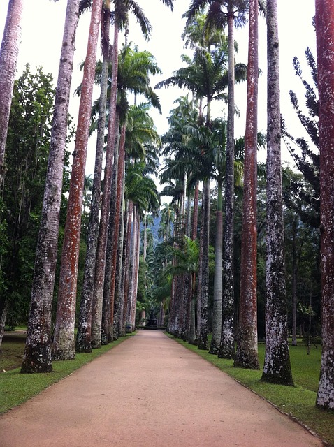Free Trees Botanical Garden photo and picture
