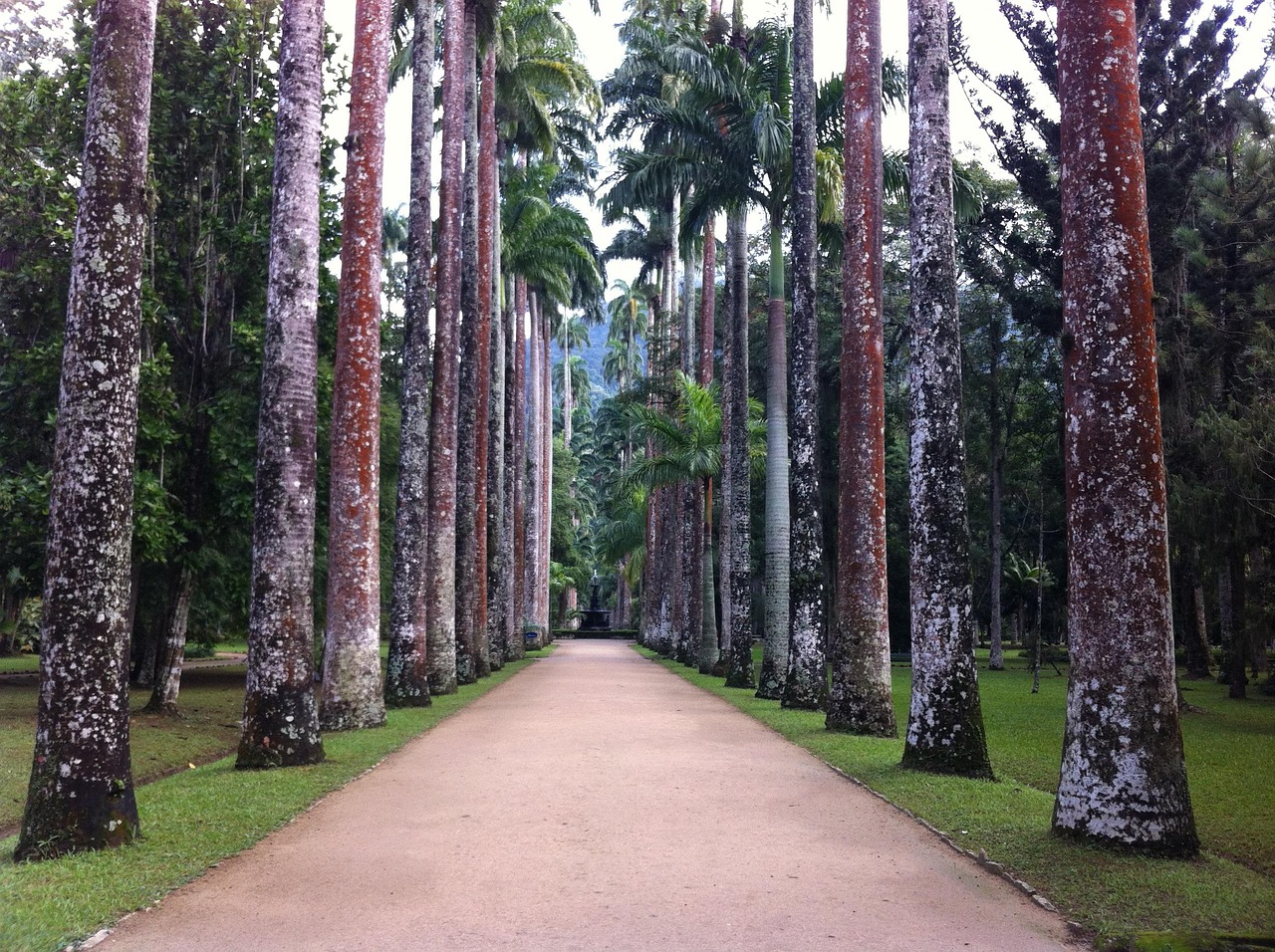 Mais de 1.000.000 fotos gratuitas de Rio De Janeiro e Brasil - Pixabay