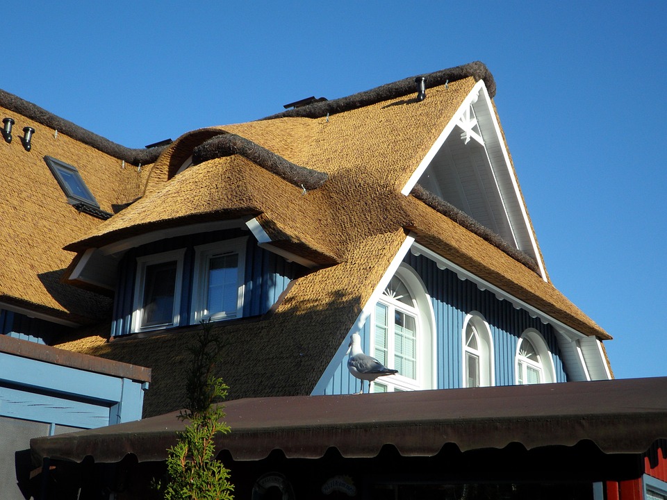 reet-haus-dach-kostenloses-foto-auf-pixabay-pixabay