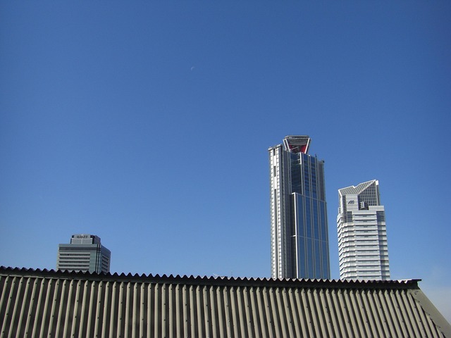 Free Moon Sky photo and picture