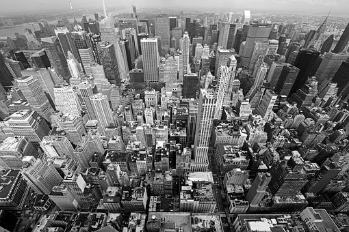 Free City New York photo and picture