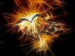 sparkler, light, bill