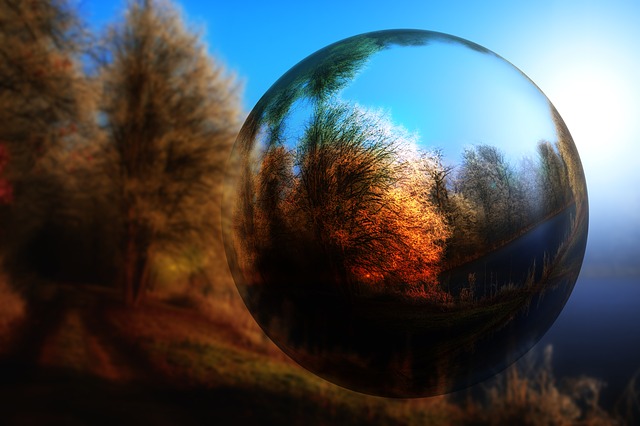 Free tree landscape bullet illustration