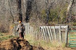 hunter, deer hunting, rifle