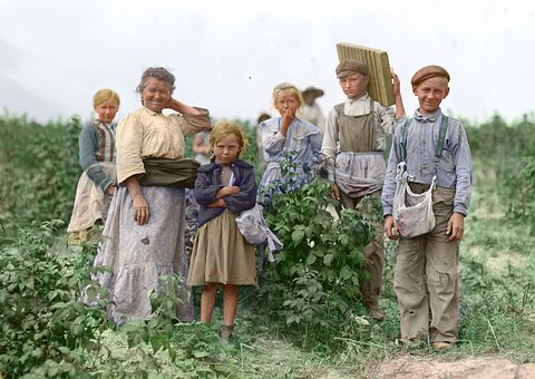 Cosecha, Recolectores De, Polonia