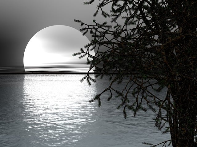 Free moon night evening illustration