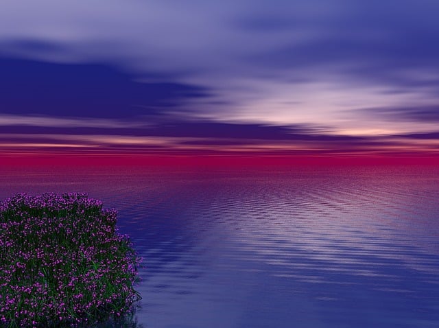 Free sunset sea ocean illustration