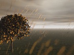 rain, nature, cloud