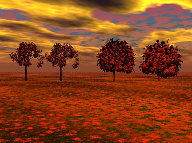 Free maple trees red maple illustration