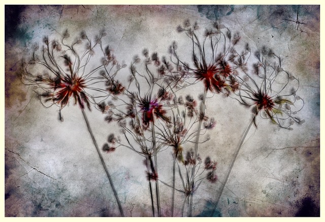 Textur, Trockenblumen, Komponieren