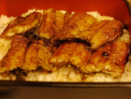 6以上の無料鰻重 うなぎ画像 Pixabay