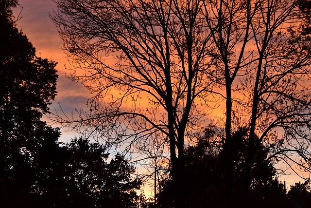 Free Afterglow Sunset photo and picture