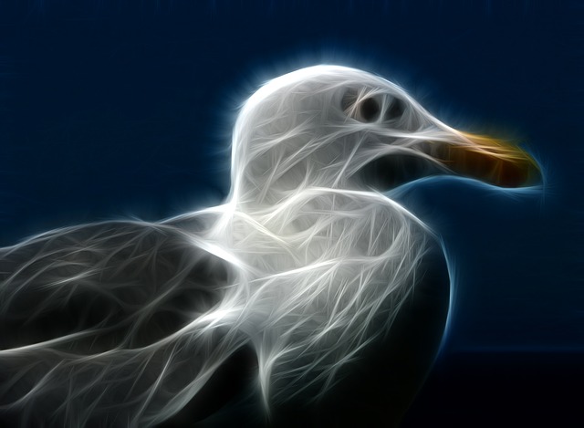 Gaviota, Obra De Arte, Fractal